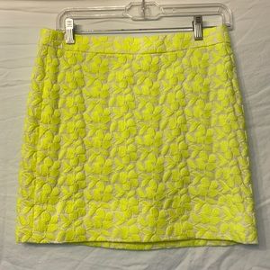 J. Crew Skirt